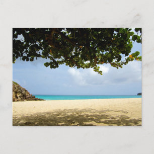 Gouverneur Bay St Barts Postcard