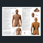 Governing Meridian Acupuncture Points Poster<br><div class="desc">Acupuncture conception and governing vessel meridian pathways with point locations, list of each point with Chinese name, detailed written point location, indications for each point, Cardinal points, Horary time, five element correspondences, five element phase points and five element command points. Tonification, Sedation, Luo, Xi-Cleft and Source points. 7 of a...</div>