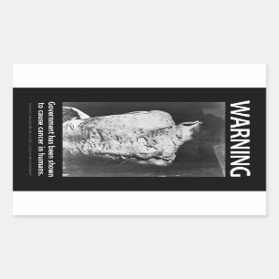 Government Warning Sticker