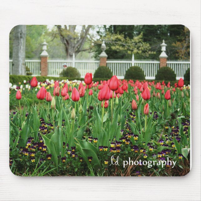 Governor's Tulips WM Mouse Mat (Front)