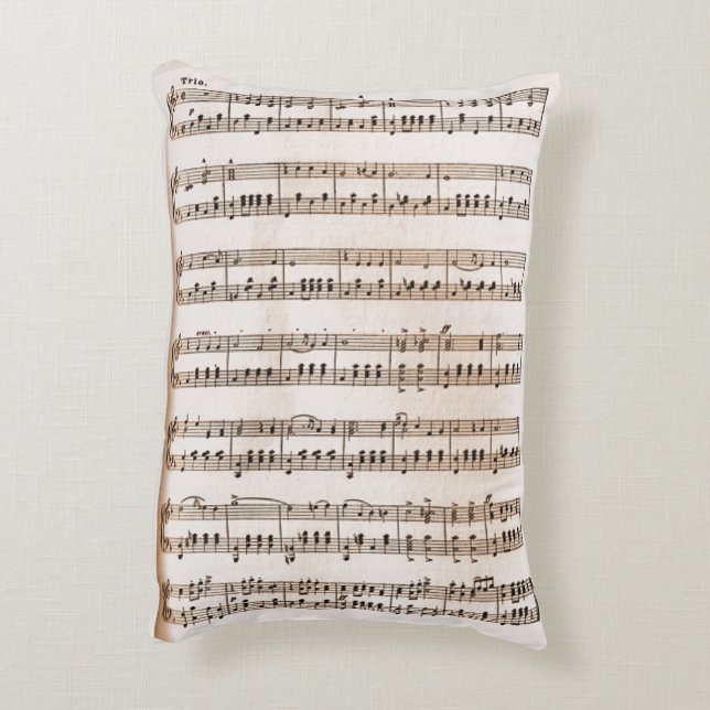 Gr Decorative Cushion (Back(Vertical))