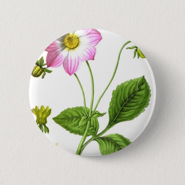 Grace 6 Cm Round Badge (Front)