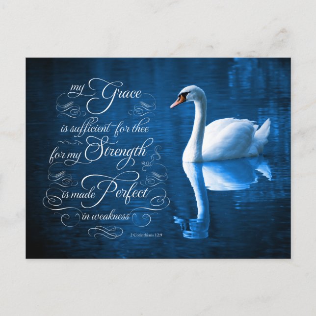 Grace Bible Verse Mute Swan Postcards (Front)