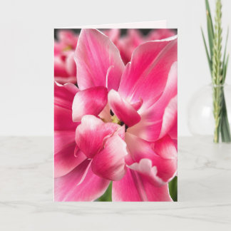Grace in Every Season | Pink Tulip Folded Greeting Card