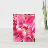 Grace in Every Season | Pink Tulip Folded Greeting