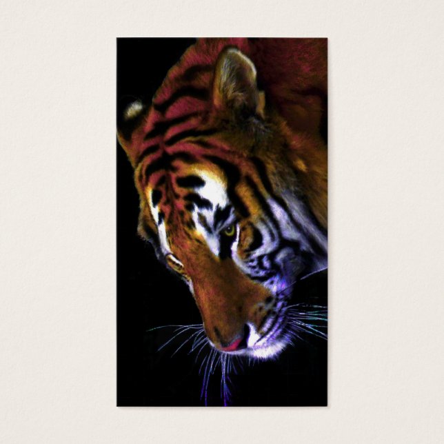 grace of a tiger (Front)