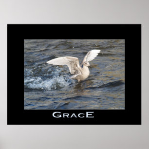 GRACE Sea-Gull Landing Photo Poster