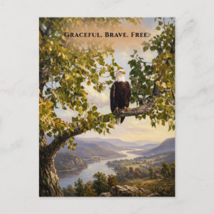 Graceful Brave Free Eagle Landscape Custom Message Postcard