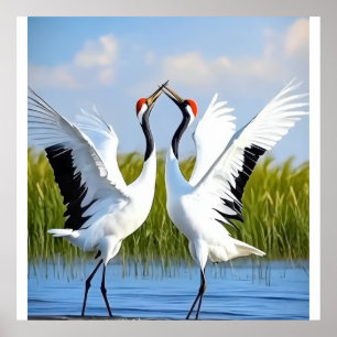 Graceful Dance of Red-Crowned Cranes Poster