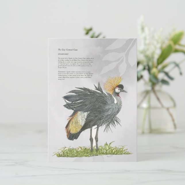 Graceful Endangered Grey Crowned Crane Card (Standing Front)
