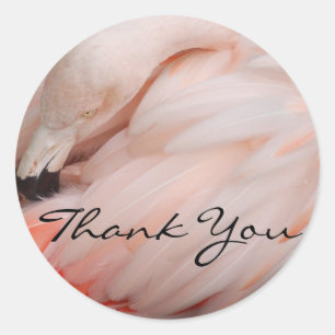 Graceful Flamingo Thank You Classic Round Sticker