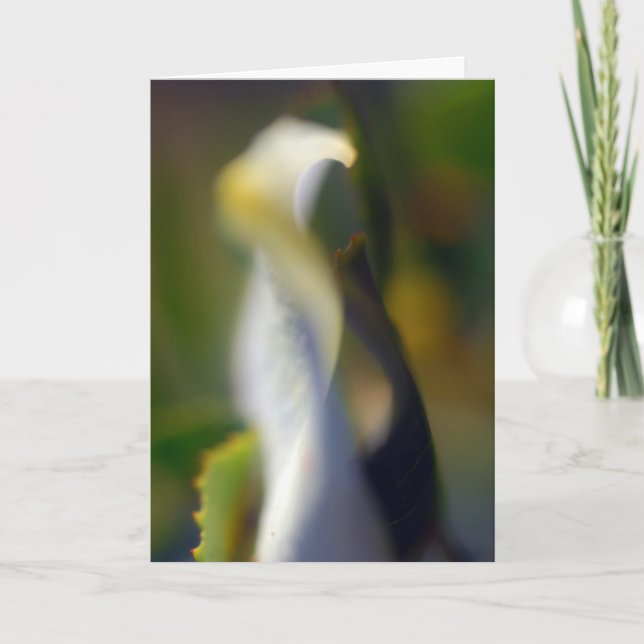 Graceful Floral Folded Blank Card (Front)