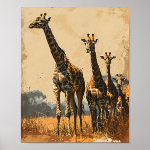 Graceful Giants: Vintage Giraffes Poster