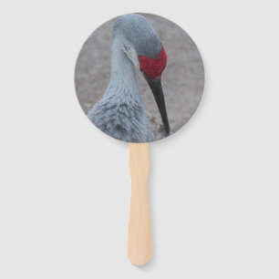 graceful grey and red Sand Hill Crane fan