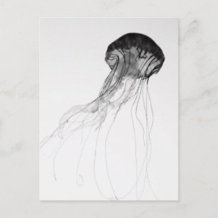 Graceful Jellyfish Postcard