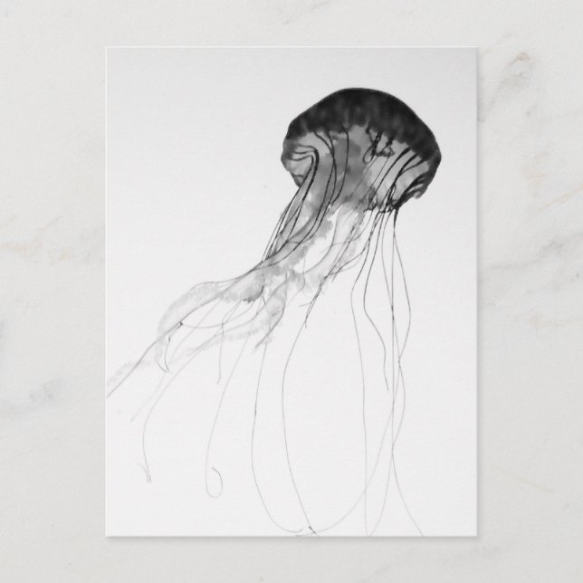 Graceful Jellyfish Postcard (Front)