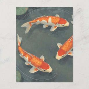 Graceful Koi Fish Pond Serenity Design Postcard
