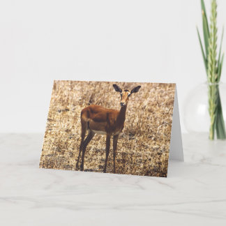 Graceful Lady (Impala) Card