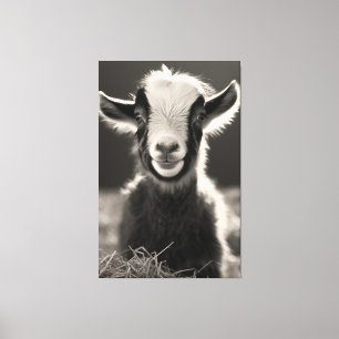 Graceful Monochromatic Expressive Baby Goat Portra Canvas Print