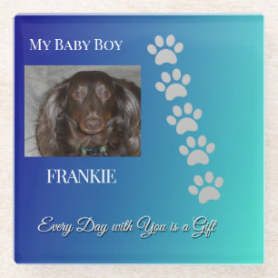 Graceful Pawprints Keepsake Glass Coaster