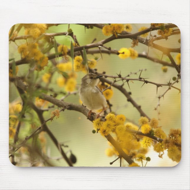Graceful Prinia Mouse Mat (Front)