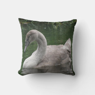 Graceful Swan on the Water Pillow