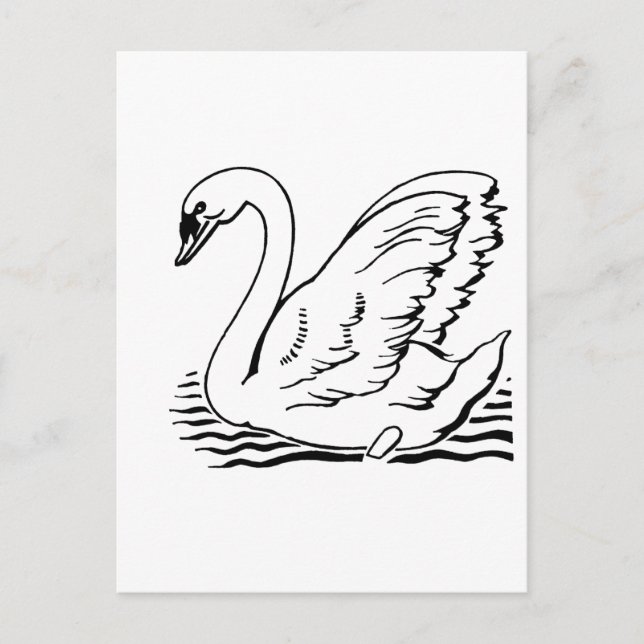 Graceful Swan Postcard (Front)