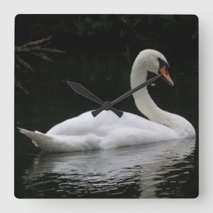 Graceful White Swan Clock