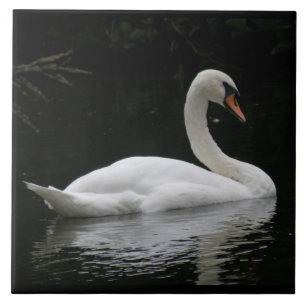 Graceful White Swan Tile
