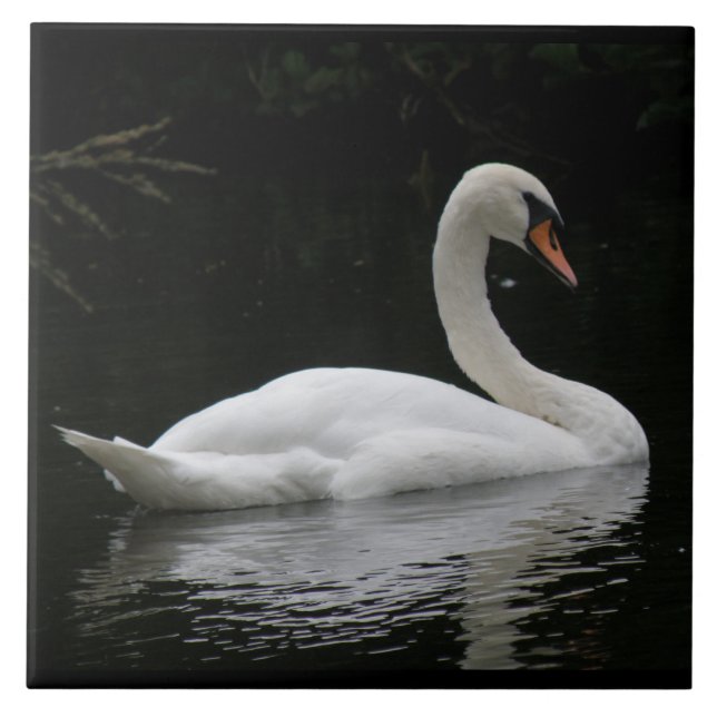 Graceful White Swan Tile (Front)