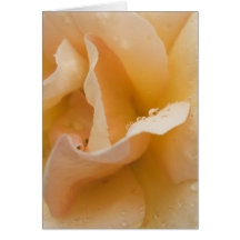 Grace's Gentle Touch Card