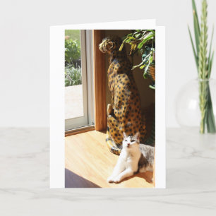 Gracey and Bad Kitty Sunbathing Card