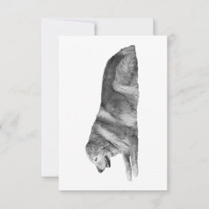 Gracious Paws, Velvet Line Thank You Card