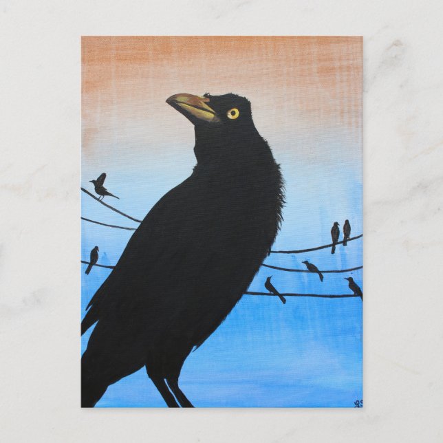 Grackle Austin Texas Black Bird Wildlife Painting Postcard (Front)