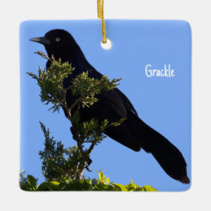 Grackle Bird Ornament