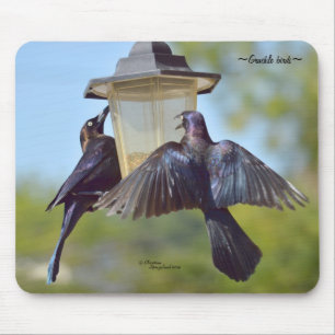 Grackle blackbirds birds Mousepad