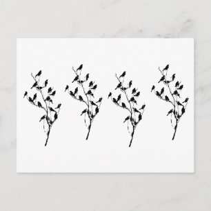 Grackle Shadows Postcard