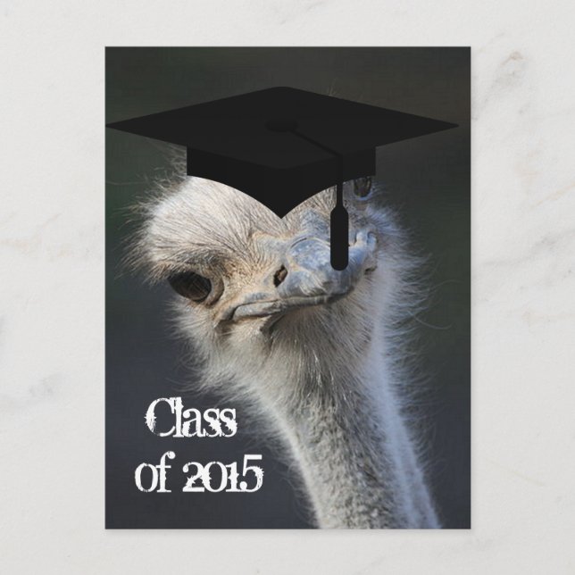 Grad Announcement (Front)