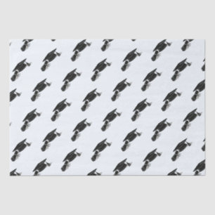 Grad Cap Diploma (Black) Graduation Tissue Paper