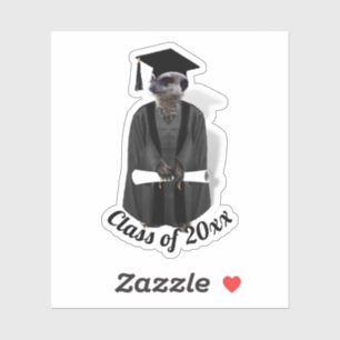 Grad Meerkat Graduation