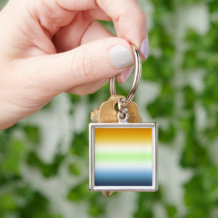 Gradient AroAce Agender Pride Key Ring