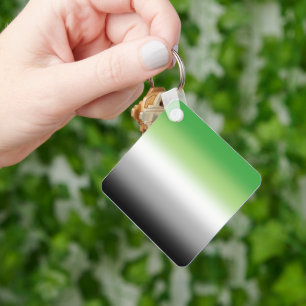 Gradient Aromantic Flag – Colourful Aromantic Prid Key Ring
