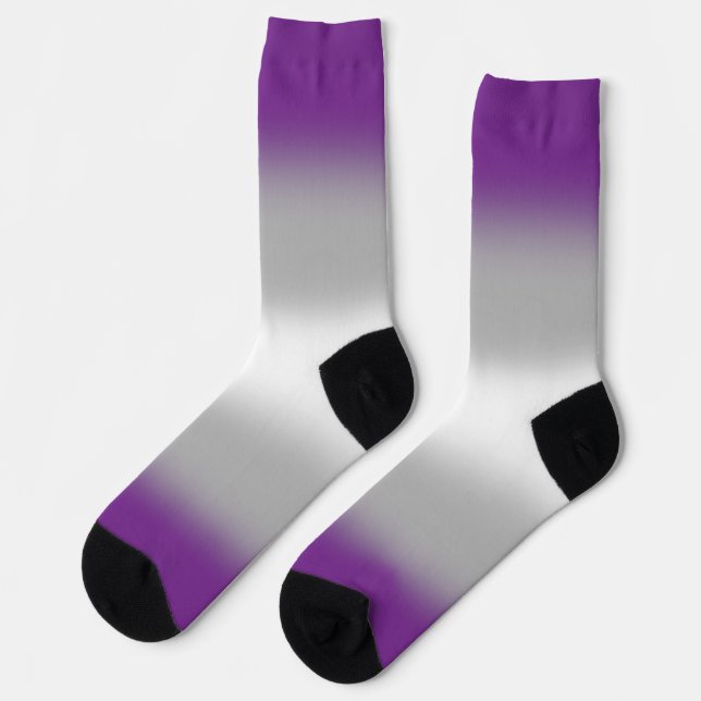 Gradient Greysexual Pride  Socks (Left)