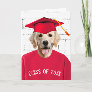 Graduate Golden Retriever with Red Cap  Card