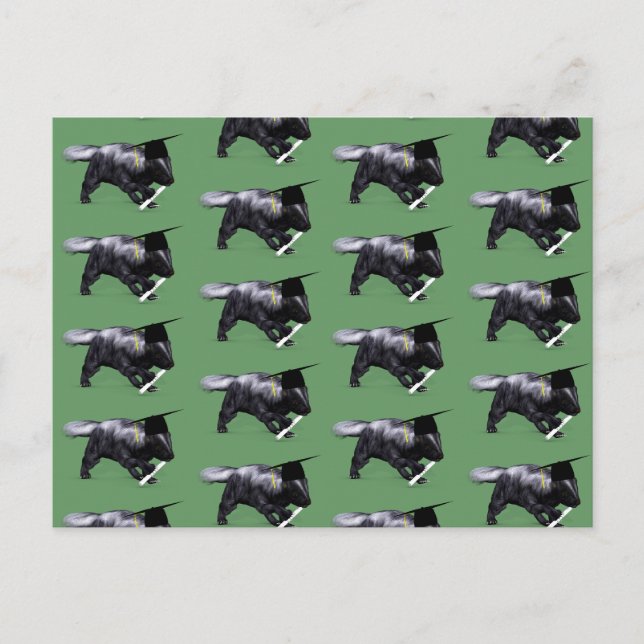 Graduate Skunk Postcard (Front)