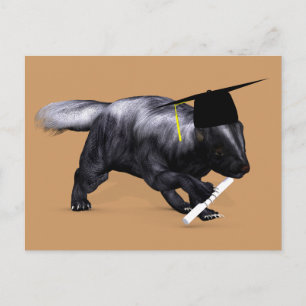 Graduate Skunk Postcard