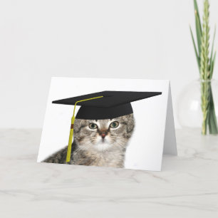 Graduating kitten card