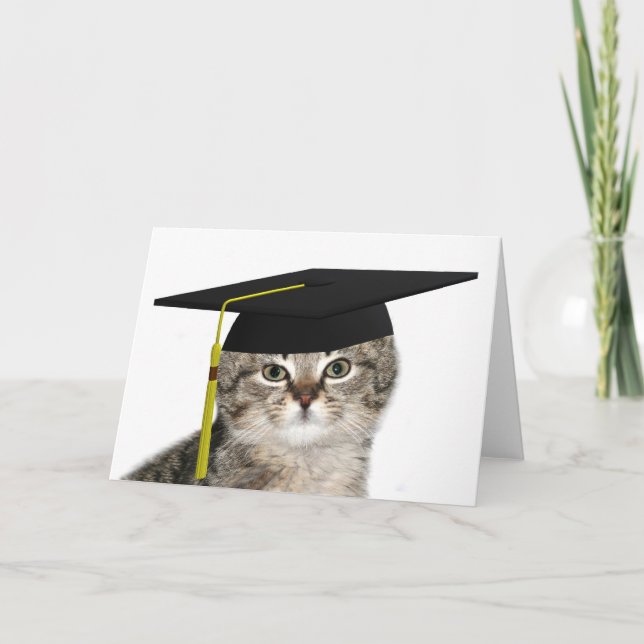 Graduating kitten card (Front)