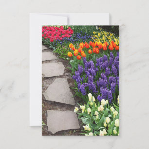 Graduation Announcements & Graduation Invitations