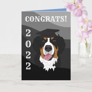 Graduation Bernese Mountain Dog Card